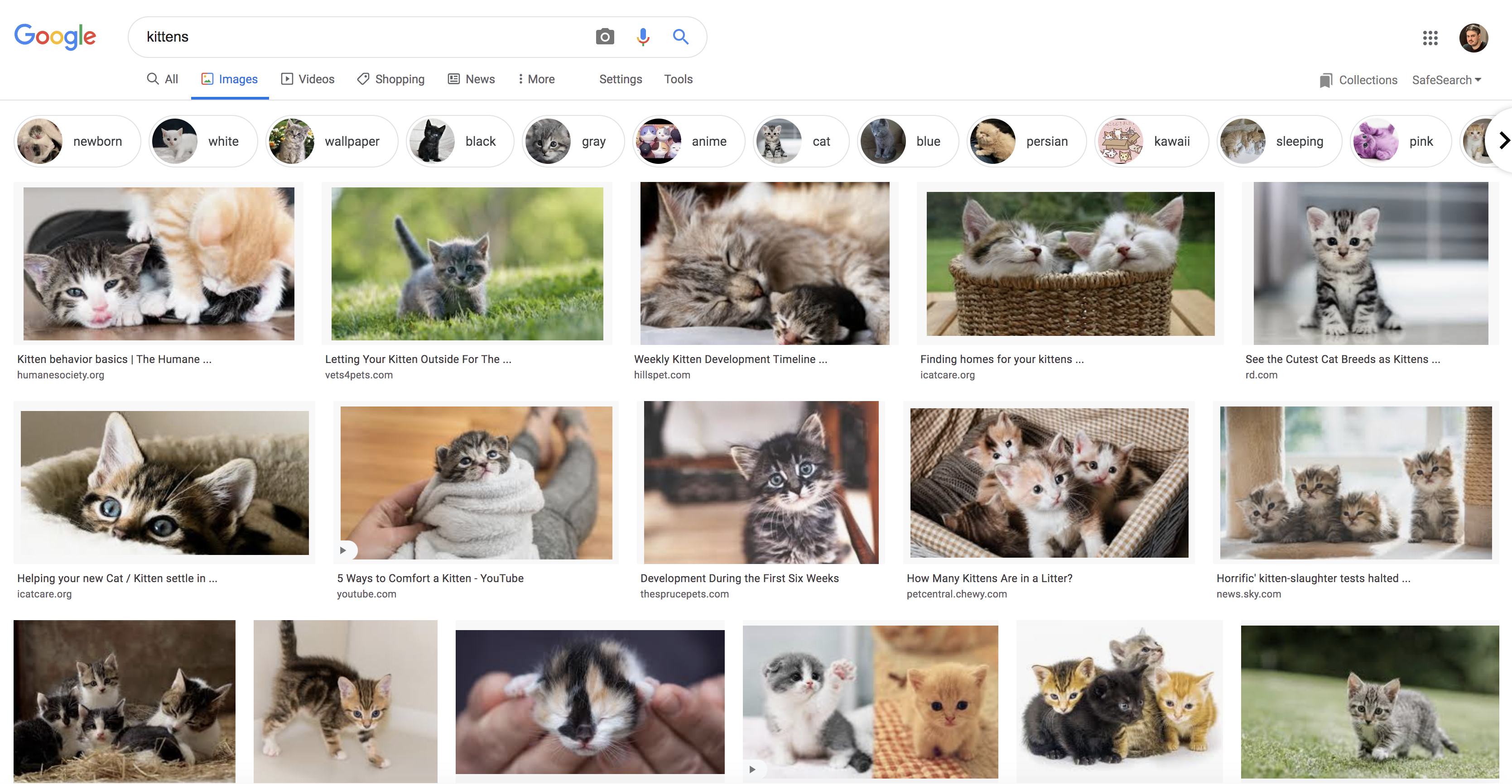 google image search example
