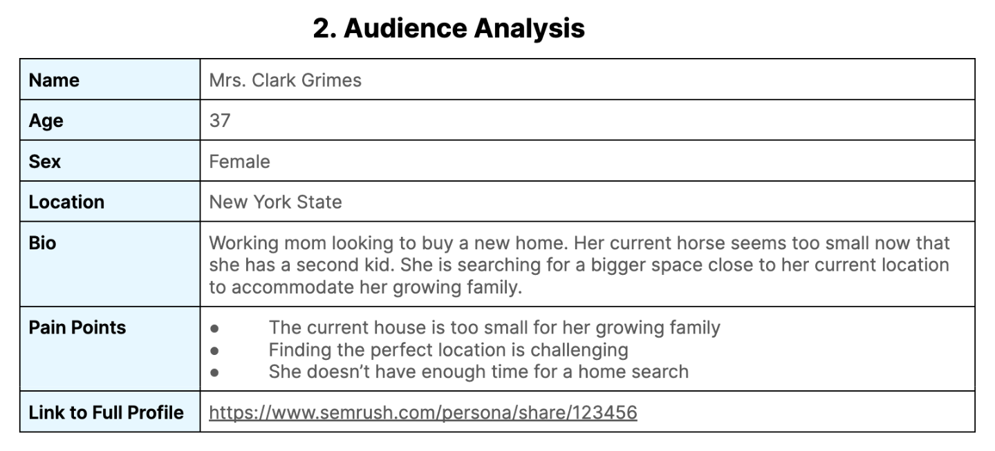 "2. Audience Analysis" step in content strategy document