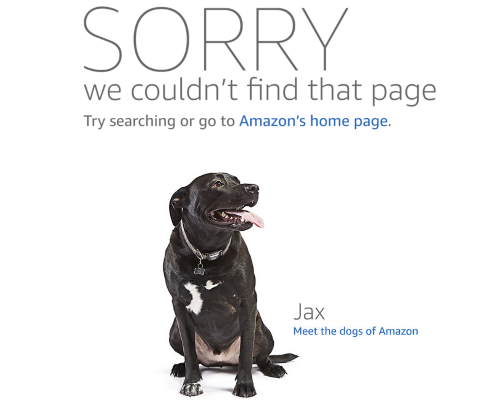 Amazon's 404 error page that reads "Sorry we couldn't find that page. Try searching or go to Amazon's home page." with an image of a dog