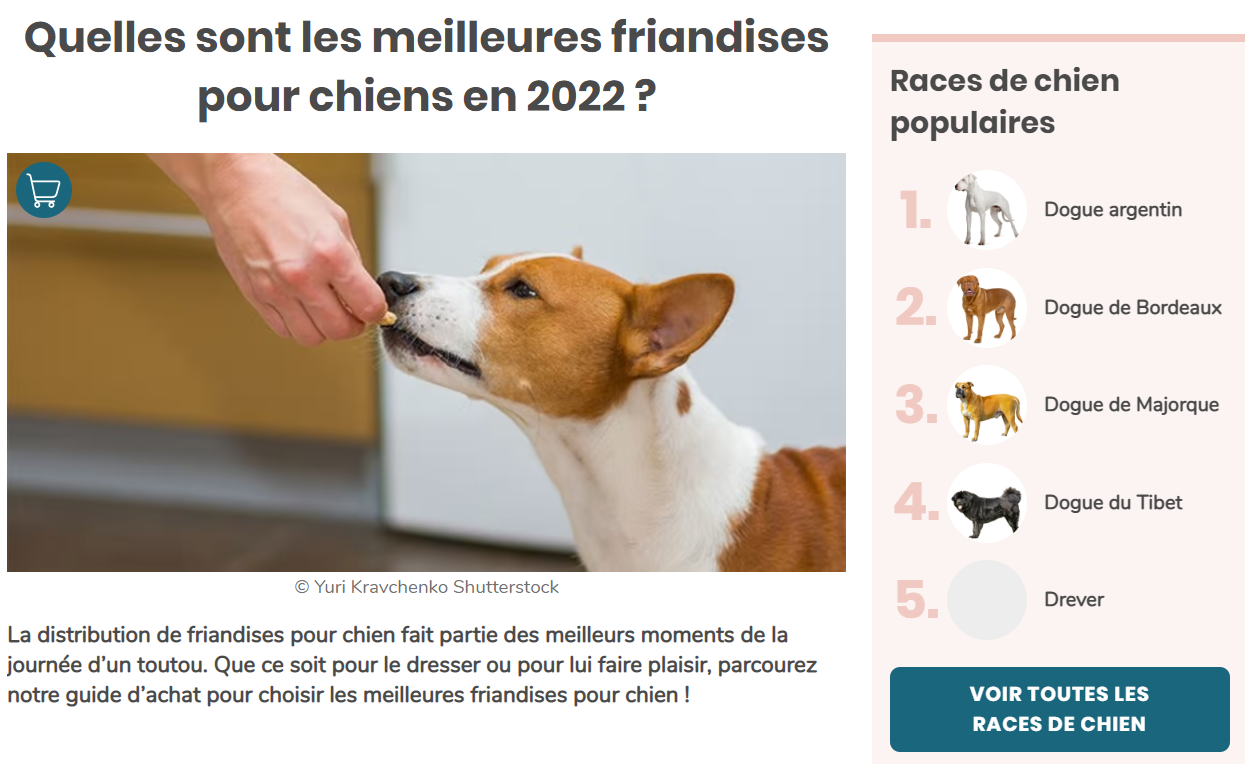 Quelles sont les meilleures friandises pour chiens en 2022