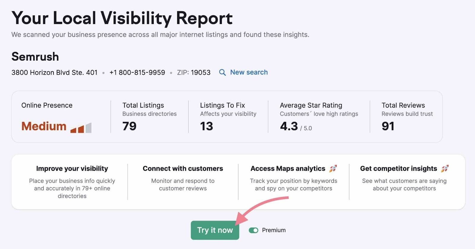 "Your Local Visibility Report" page with "Try it now" button highlighted
