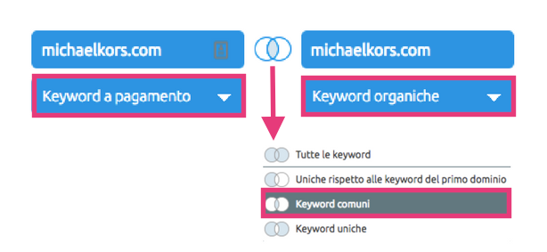 Per migliorare gli annunci PPC analizza le keyword dei competitor, organiche e a pagamento