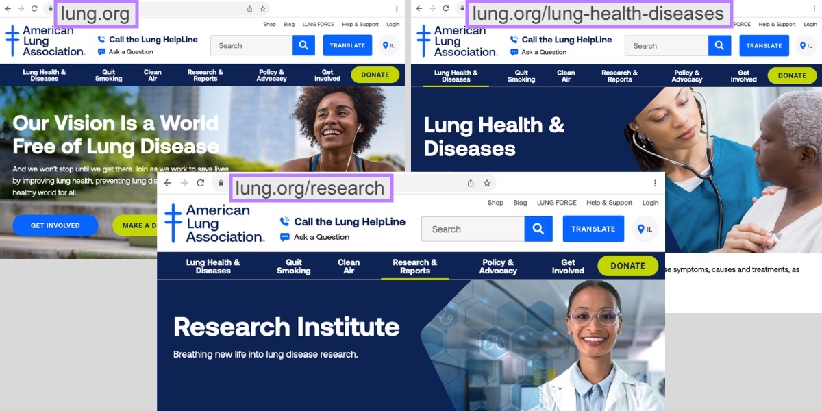 An example of three American Lung Association's subdirectories