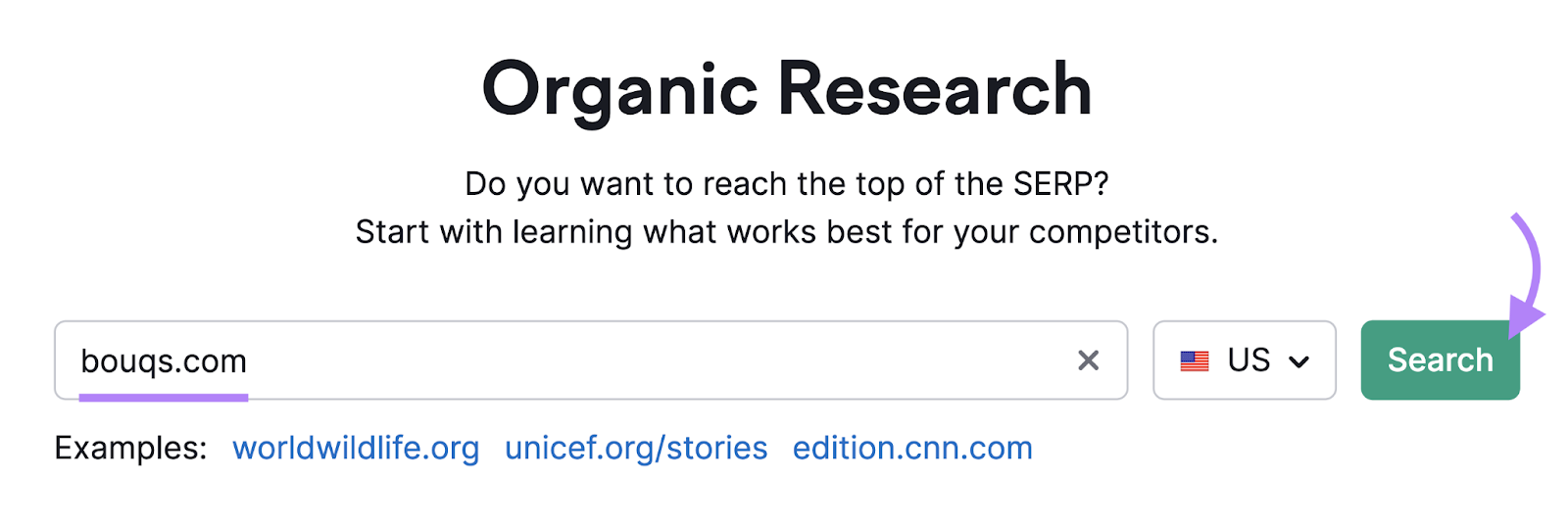 "bouqs.com" entered into the Organic Research tool search