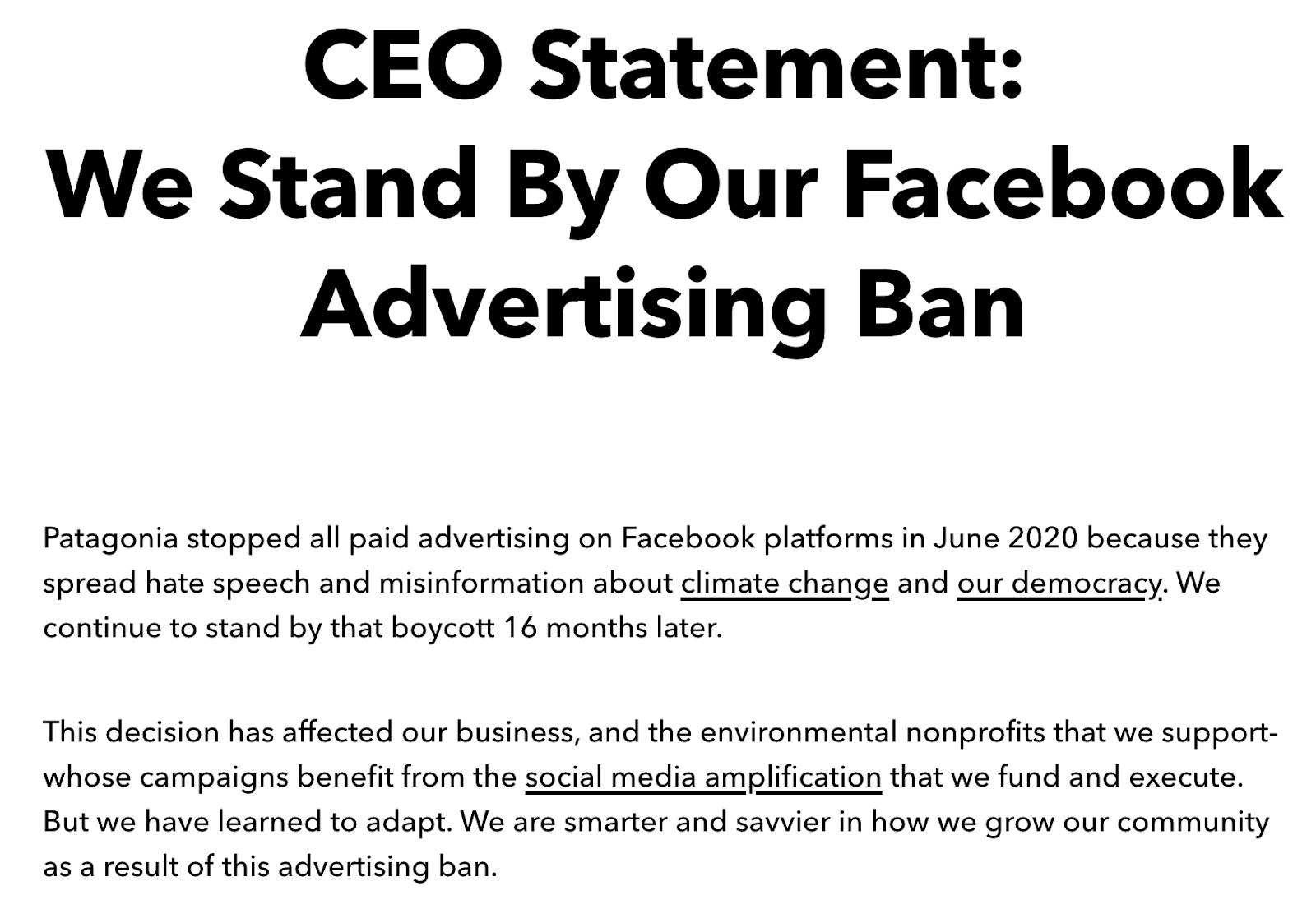 Patagonia's CEO Statement about why they boycotted Facebook ads