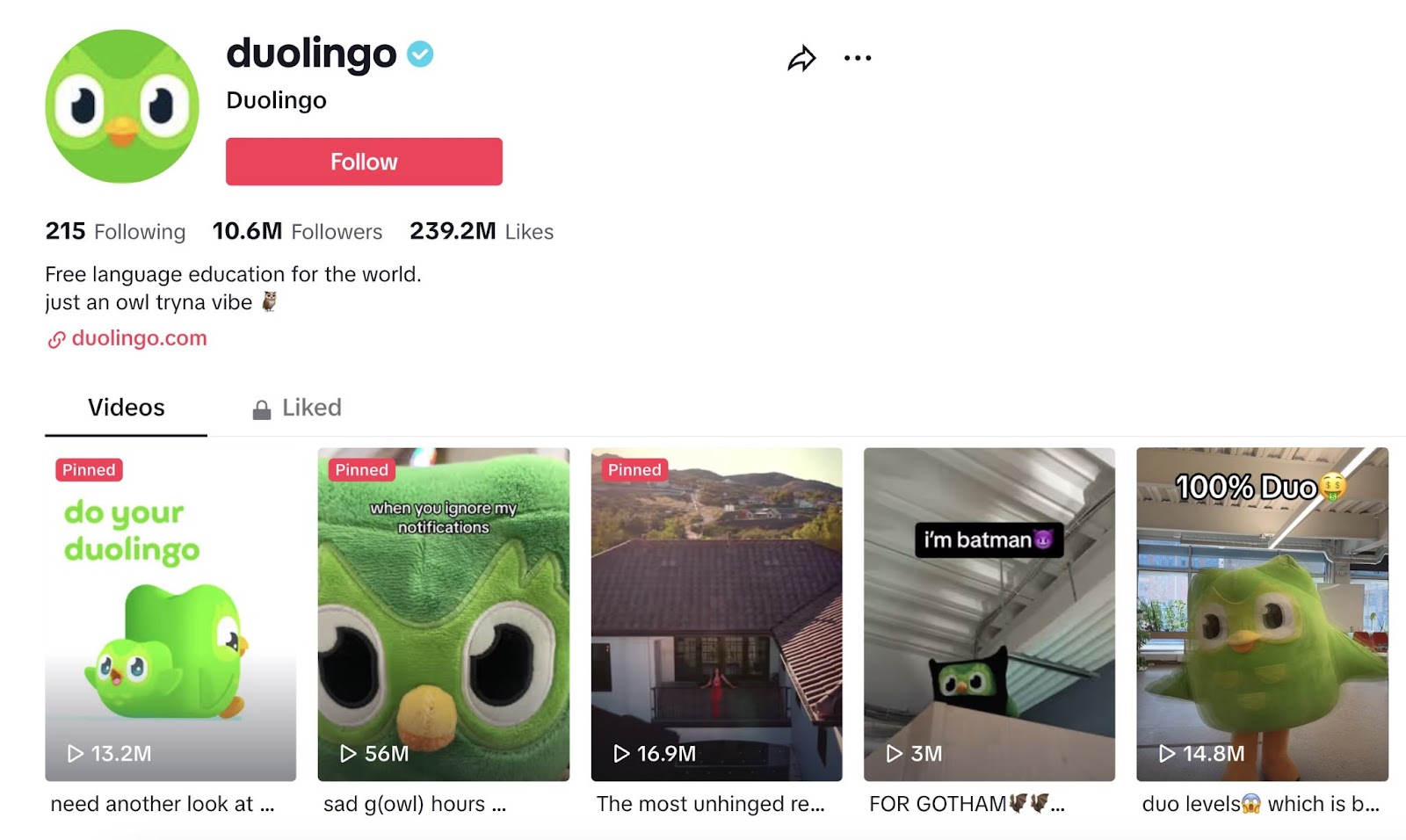Duolingo's profile on TikTok