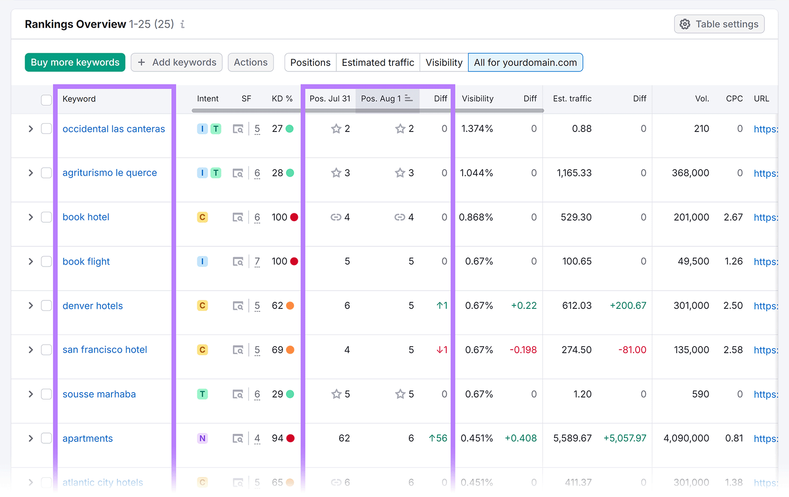 Rankings Overview table with Keyword and Positions columns highlighted