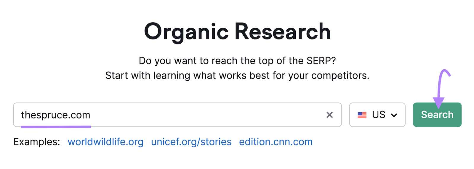"thespruce.com" entered into Organic Research search bar