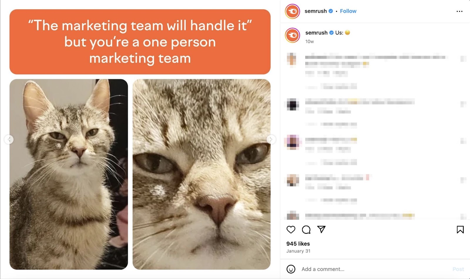 Semrush instagram post with a stoic, slightly upset cat with the caption "The marketing team will handle it. But your a one person marketing team"