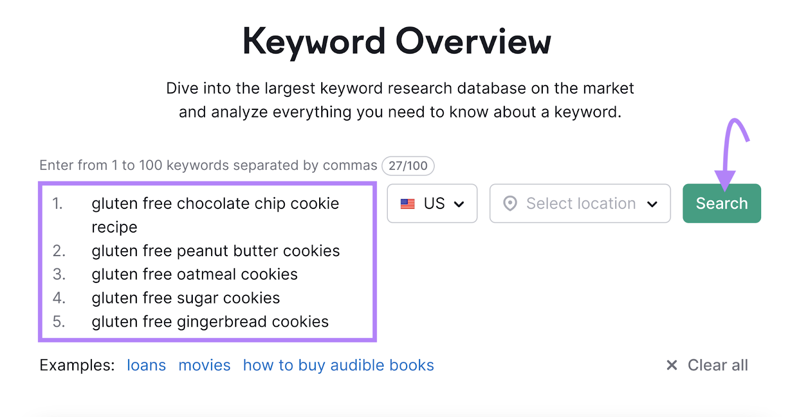 Keyword Overview tool search box