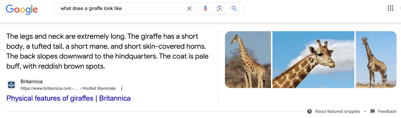 featured snippet serp feature addresses the query and provides pictures