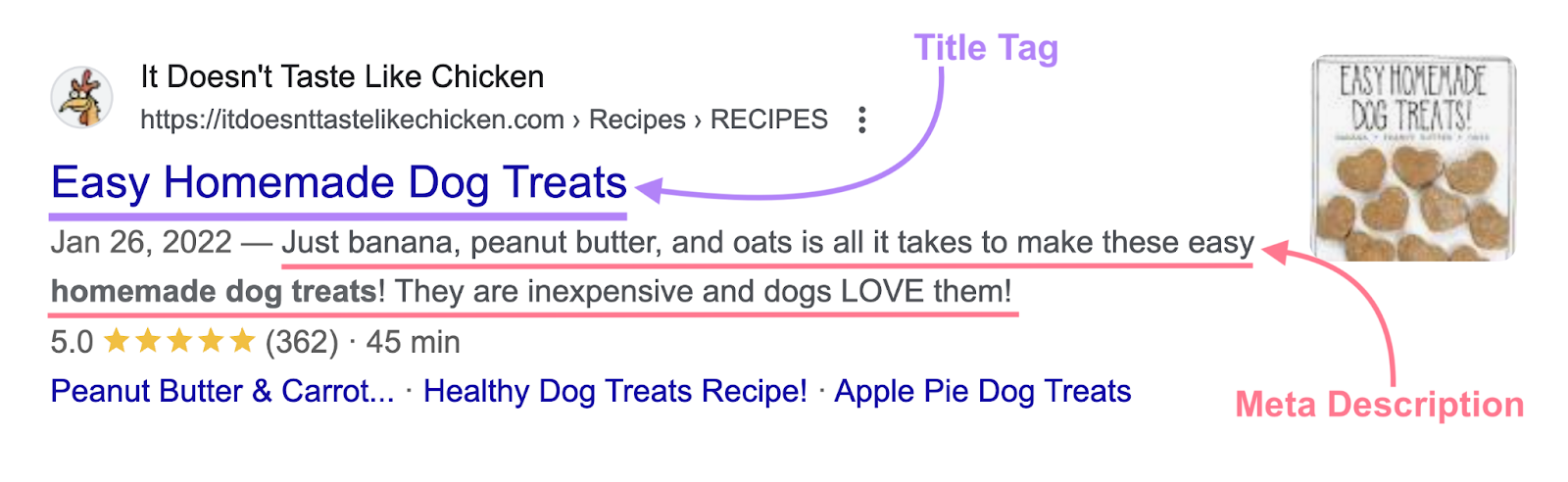 title tag is the blue hyperlink text in the search engine results page and the meta description appears below the title tag