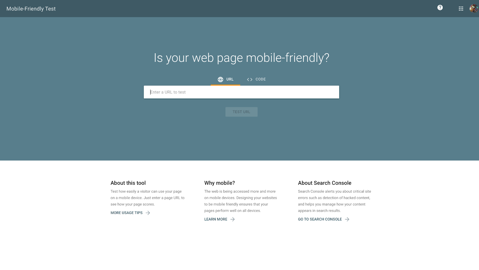Mobile-Friendly Test landing page