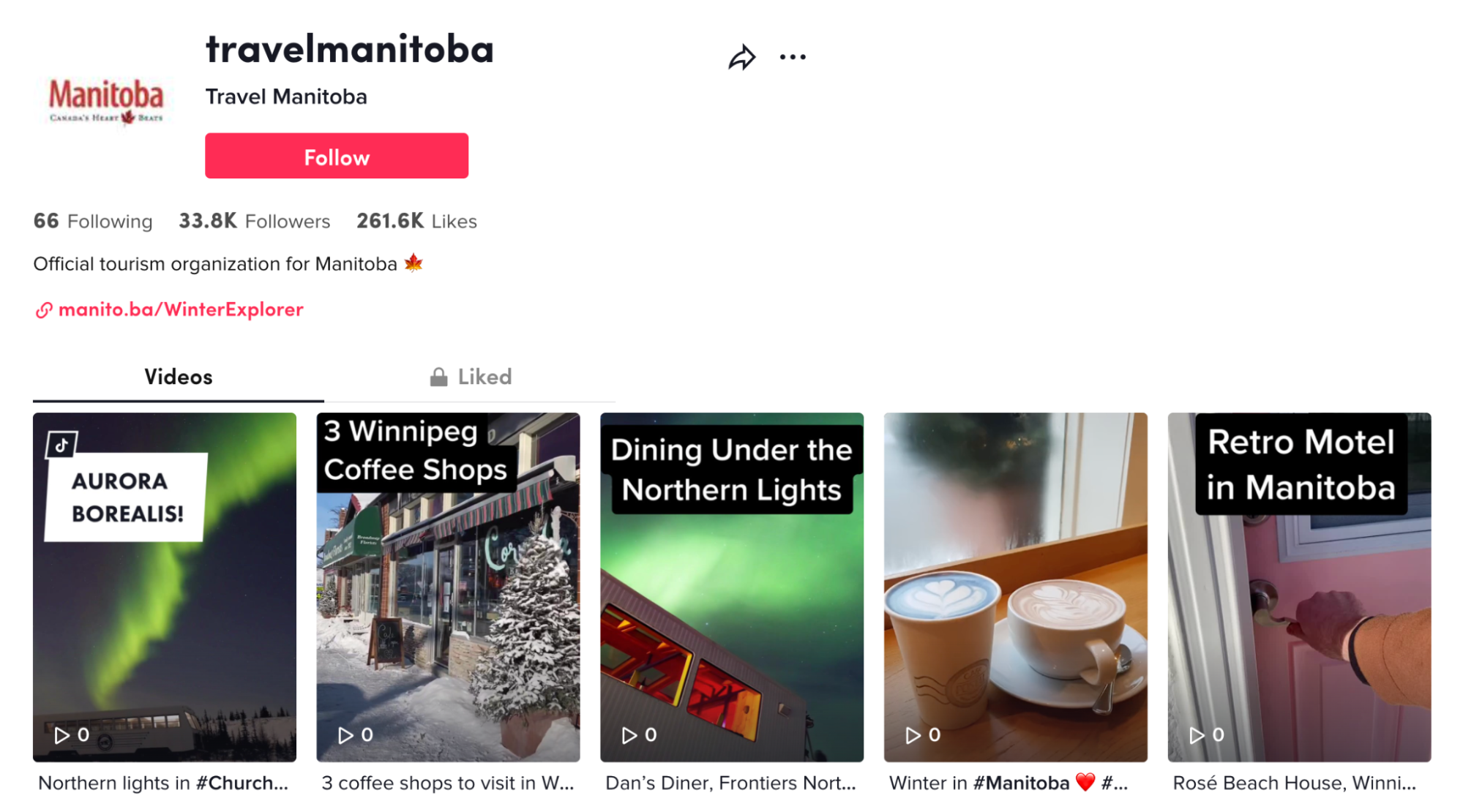 A screenshot of Travel Manitoba’s TikTok page showcases a few thumbnail images of their video guides to enjoying Manitoba. There are images of the Aurora Borealis, coffee shops, and a retro motel in Manitoba. 