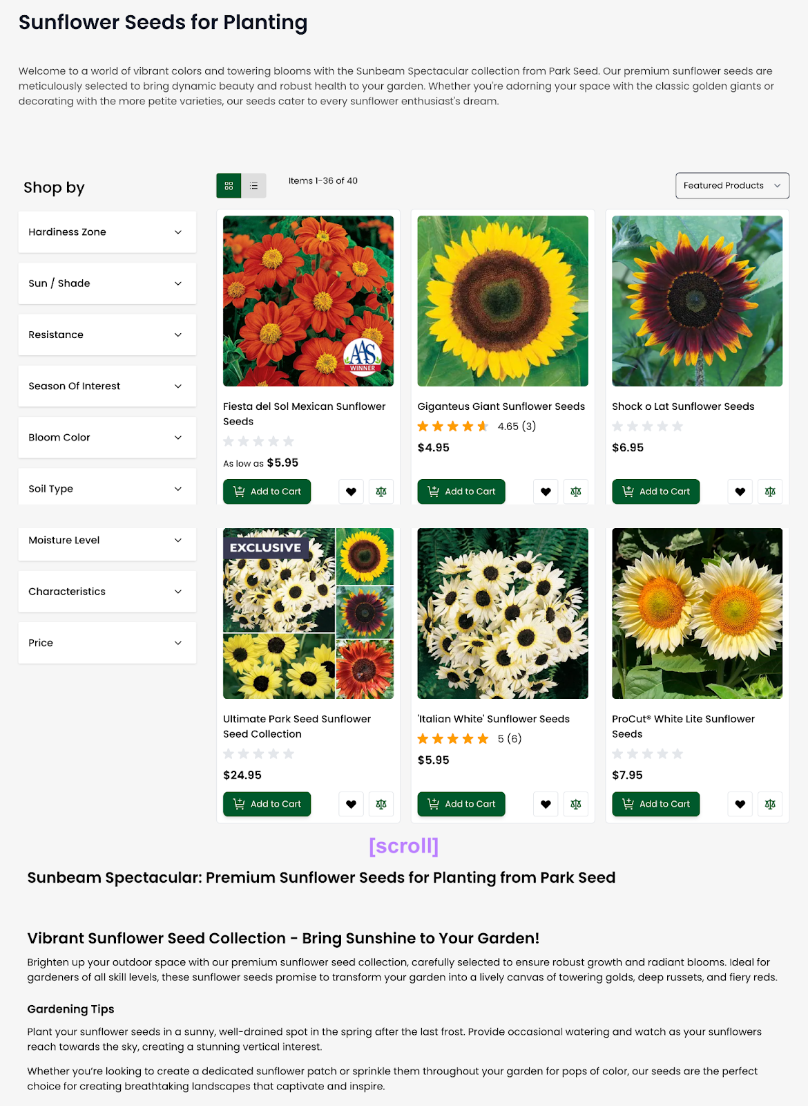 Page astir  "sunflower seeds for planting" shows sunflower effect    products and gardening tips