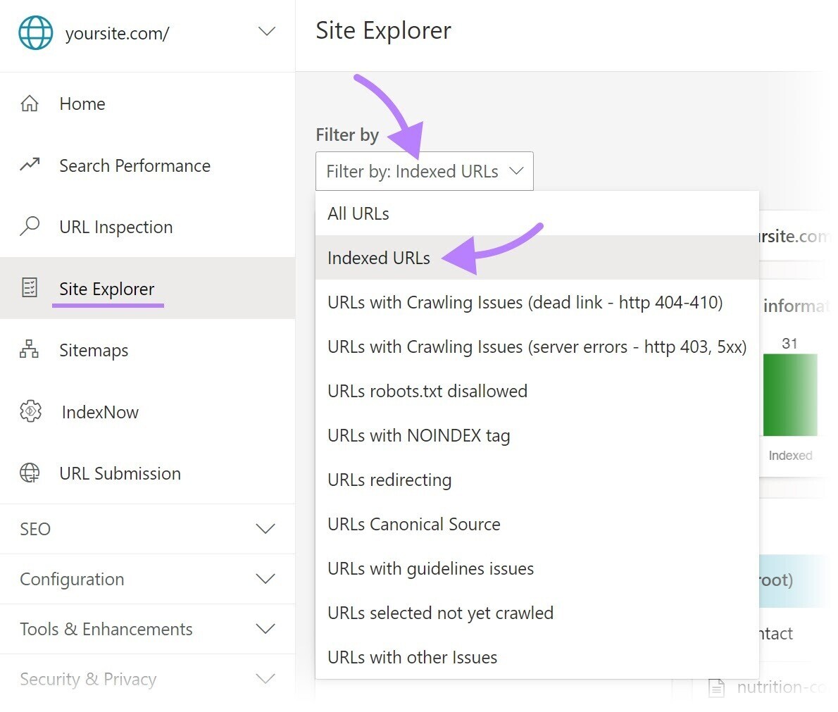 navigation to “Indexed URLs” in Bing Webmaster Tools