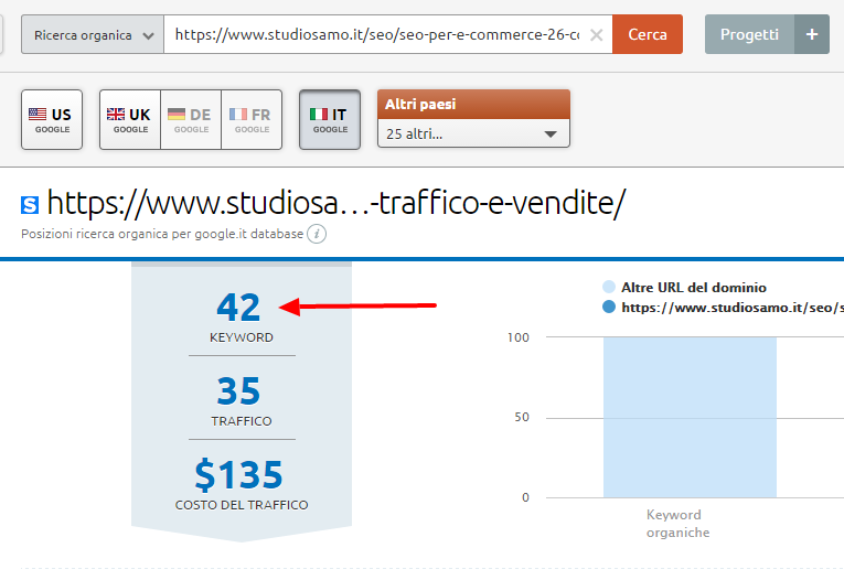 Keyword di ricerca organica principali per un url