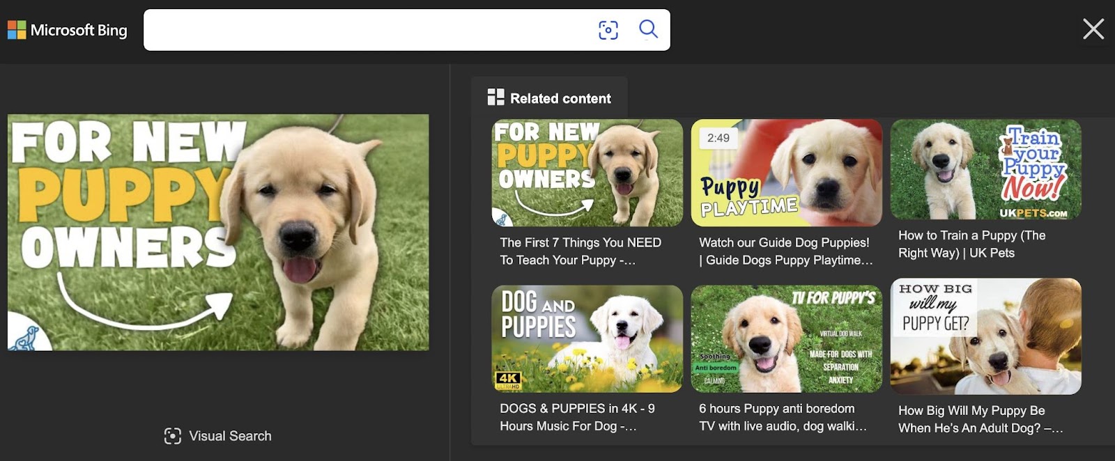 Bing video search results showing original source and related content for puppy training video