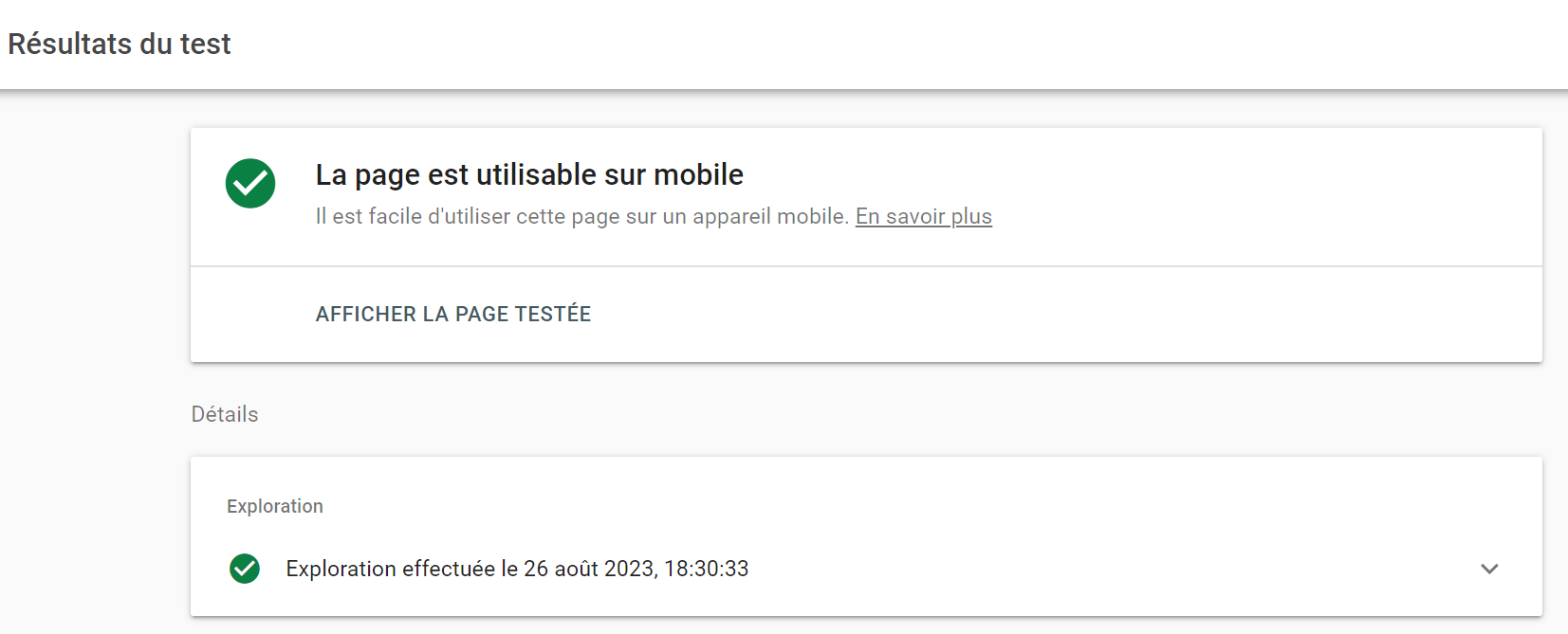 Résultats du Test d'optimisation mobile de Google.