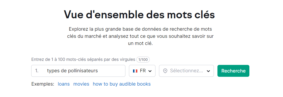 Vue d'ensemble des mots clés, champ de saisi pour lancer une recherche