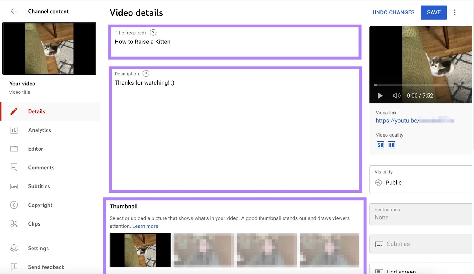 Add title, description, thumbnail and other details under "Video details" window