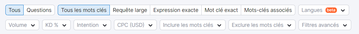 Barre de filtres et d'options dans Keyword Magic Tool