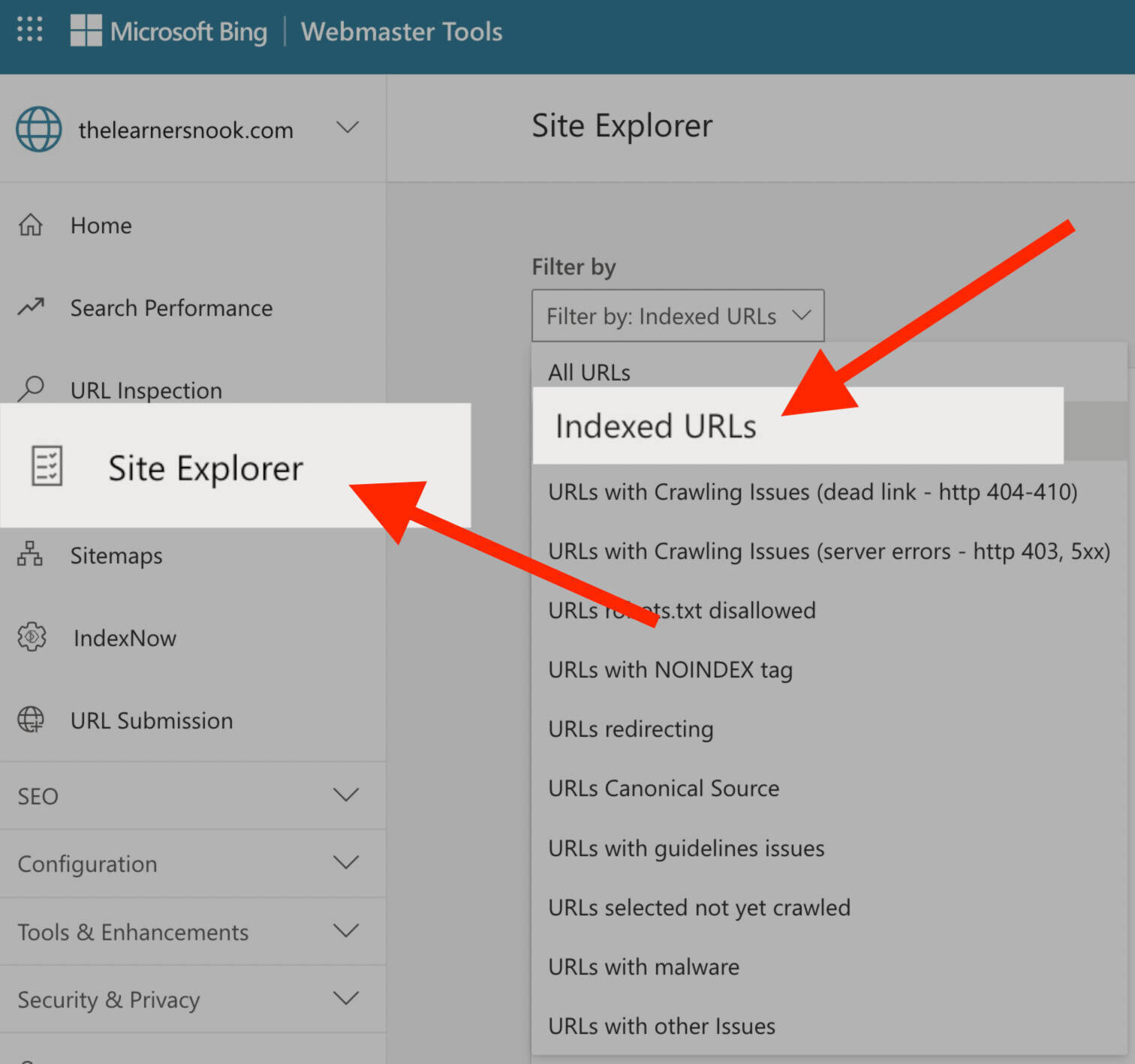 Bing's site explorer tool