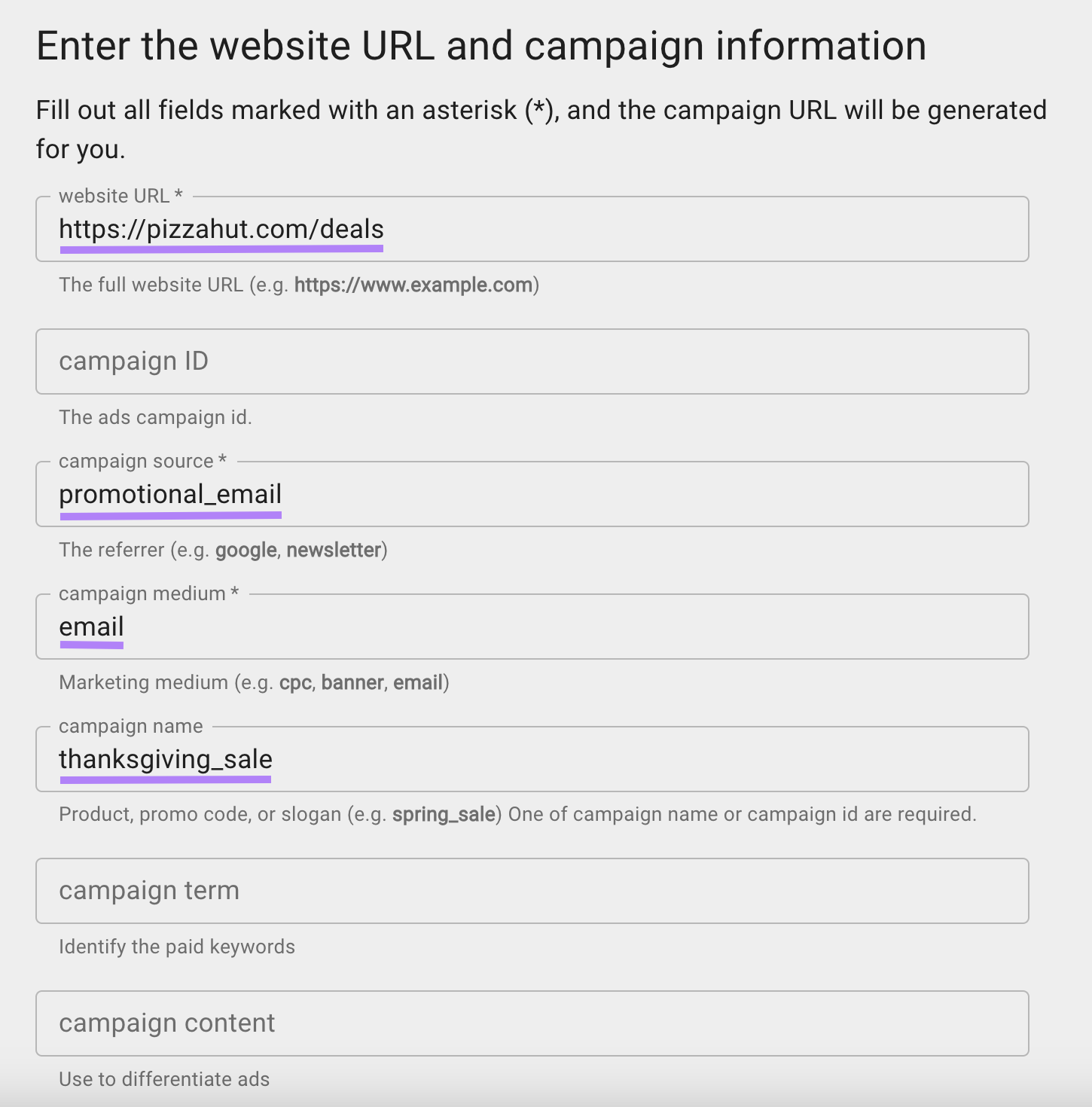 "Enter the website URL and campaign information" page with the information filled out