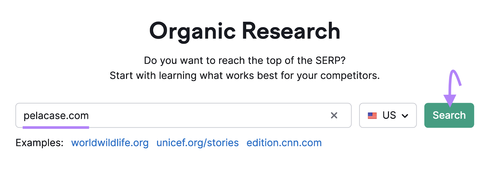 "pelacase.com" domain entered into the Organic Research search bar