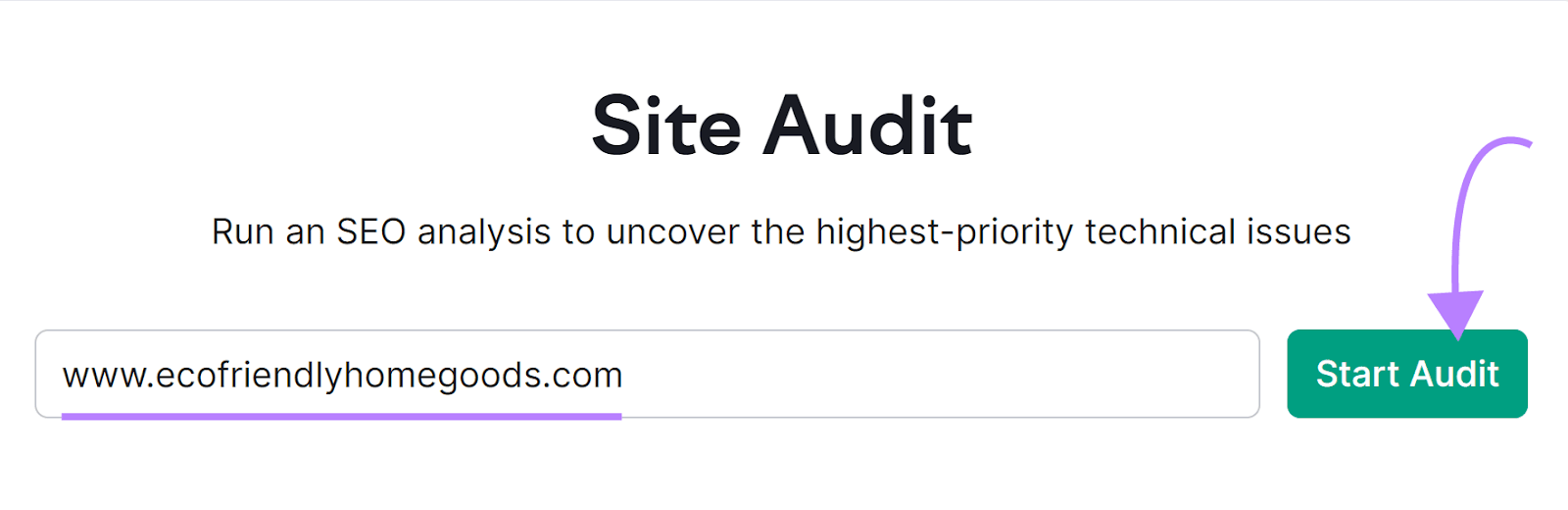 "www.ecofriendlyhomegoods.com" domain entered into the Site Audit tool