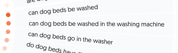 A section about washing dog beds from AnswerThePublic