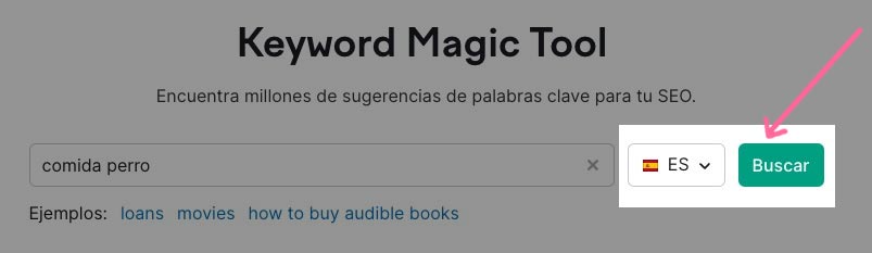 Buscar en Keyword Magic Tool