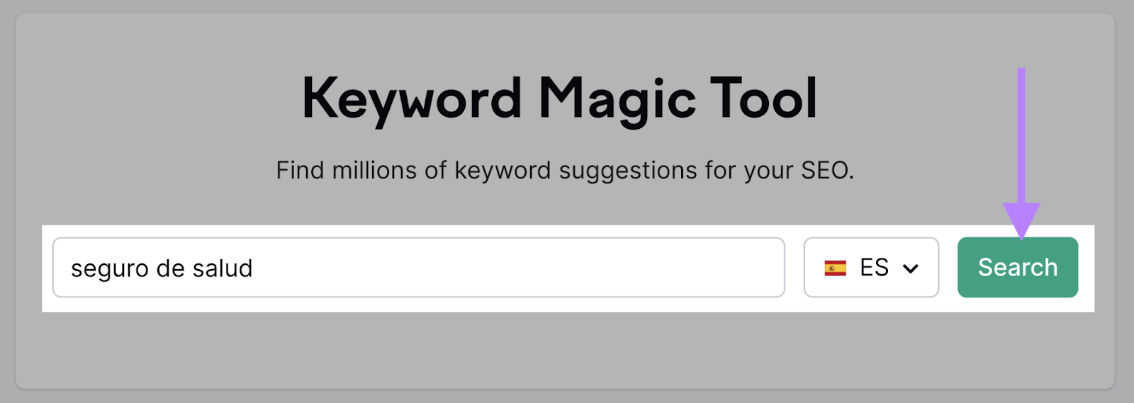 Keyword Magic Tool search