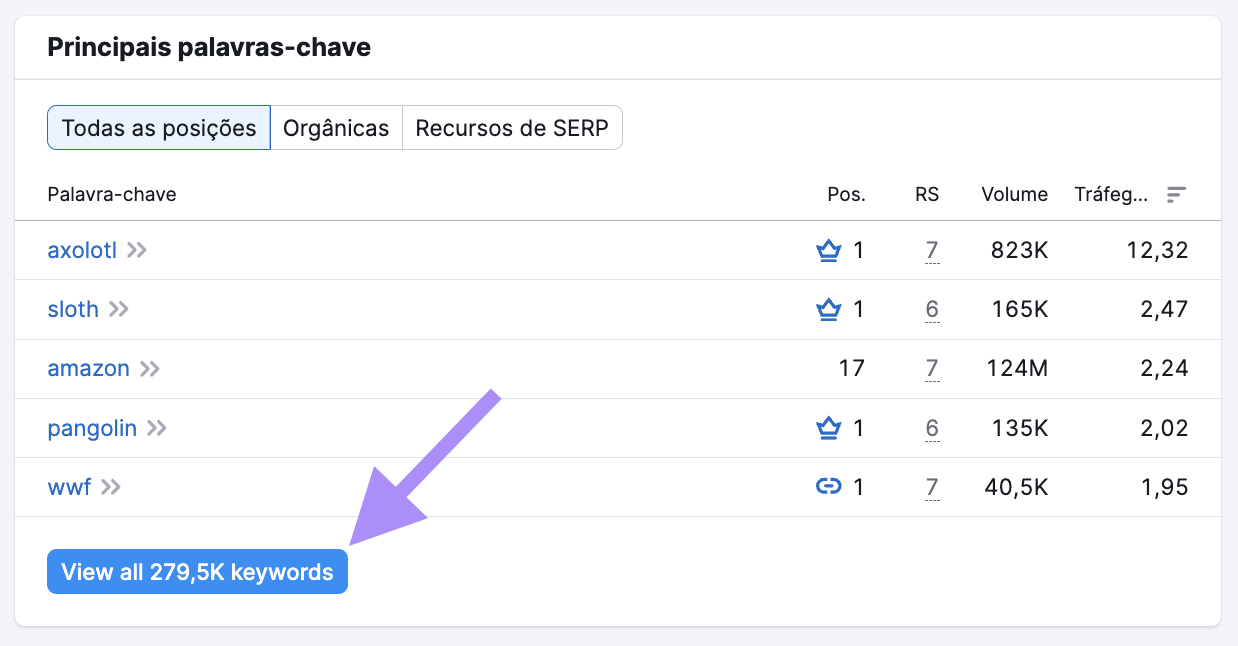 Seção "Principais palavras-chave" com o botão "Exibir todas as 4,5 milhões de palavras-chave".