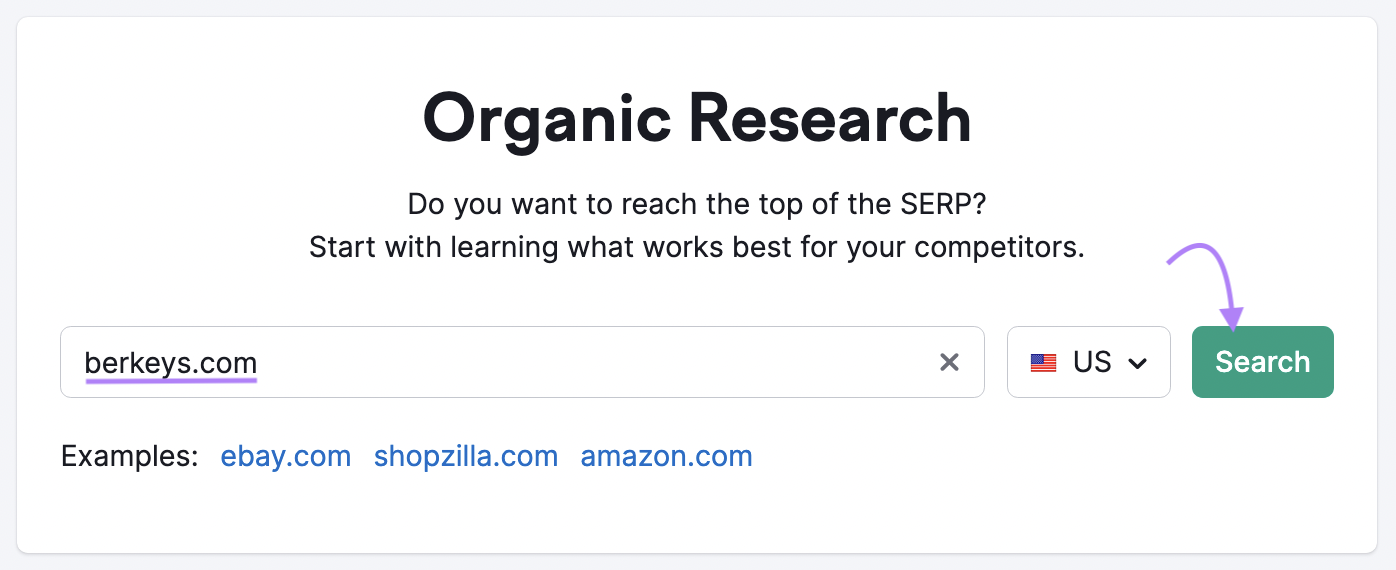 Searching for "berkeys.com" in Organic Research tool search bar