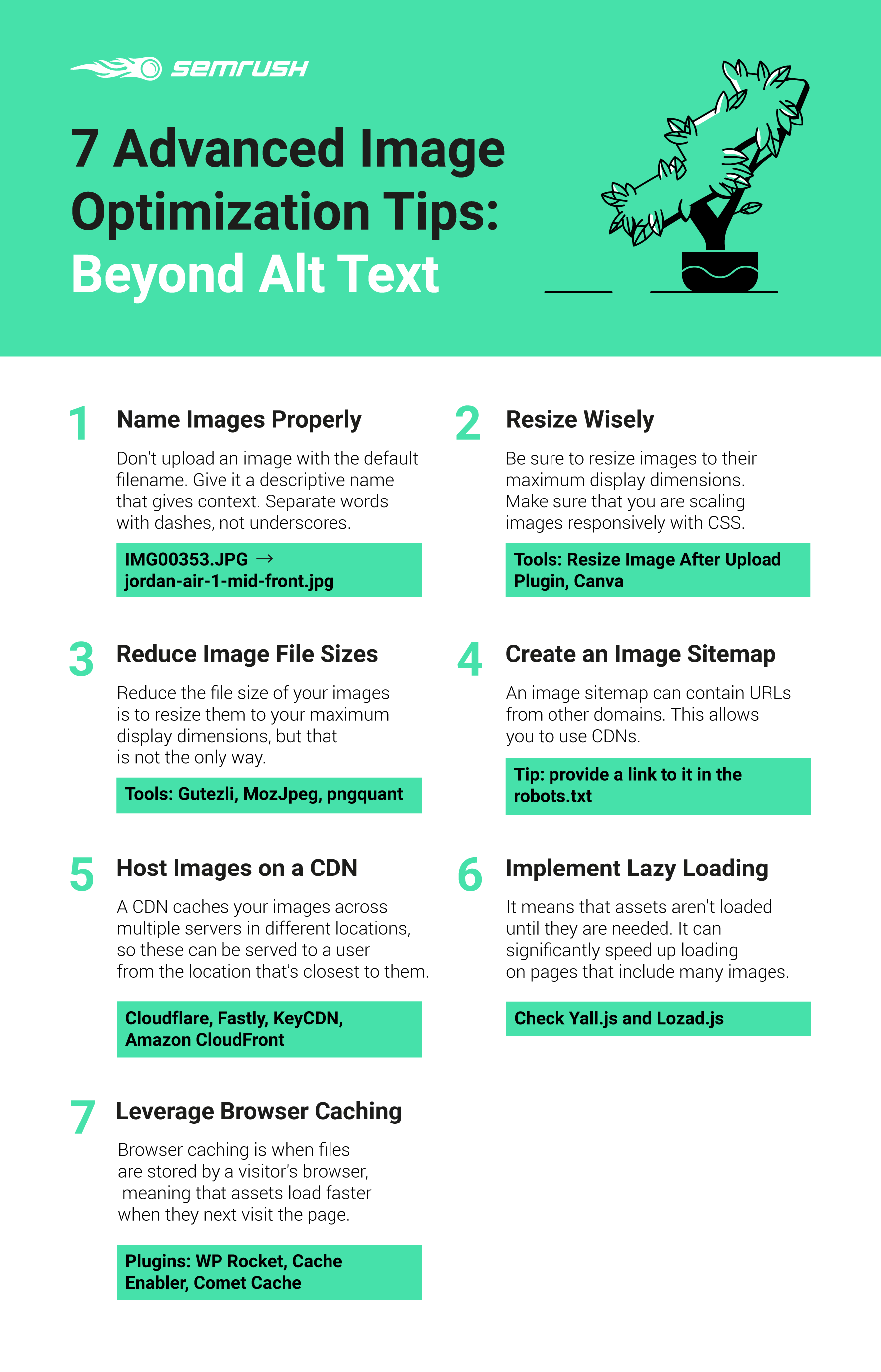 Image Optimization Infographic