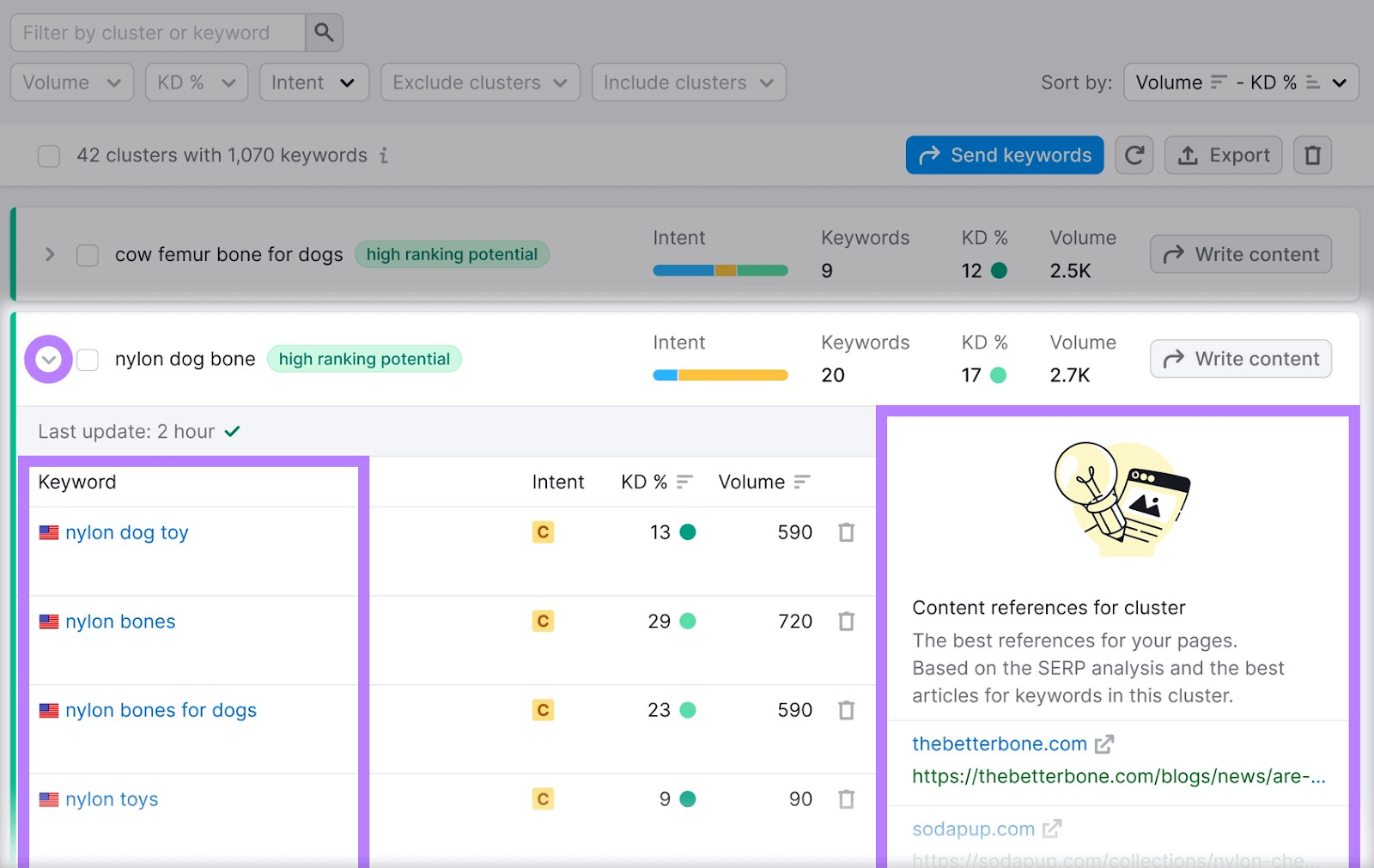 Keyword information, content references, and secondary keywords sections for "nylon dog bone" result