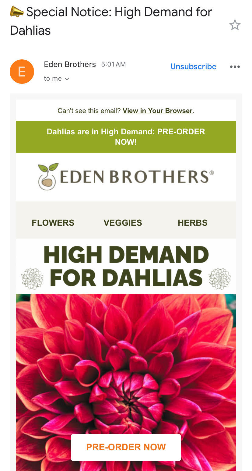 mobile email says there's a high demand for dahlia flowers and the call to action is pre-order now