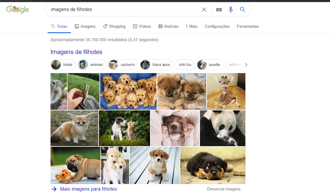 resultado do google para filhotes