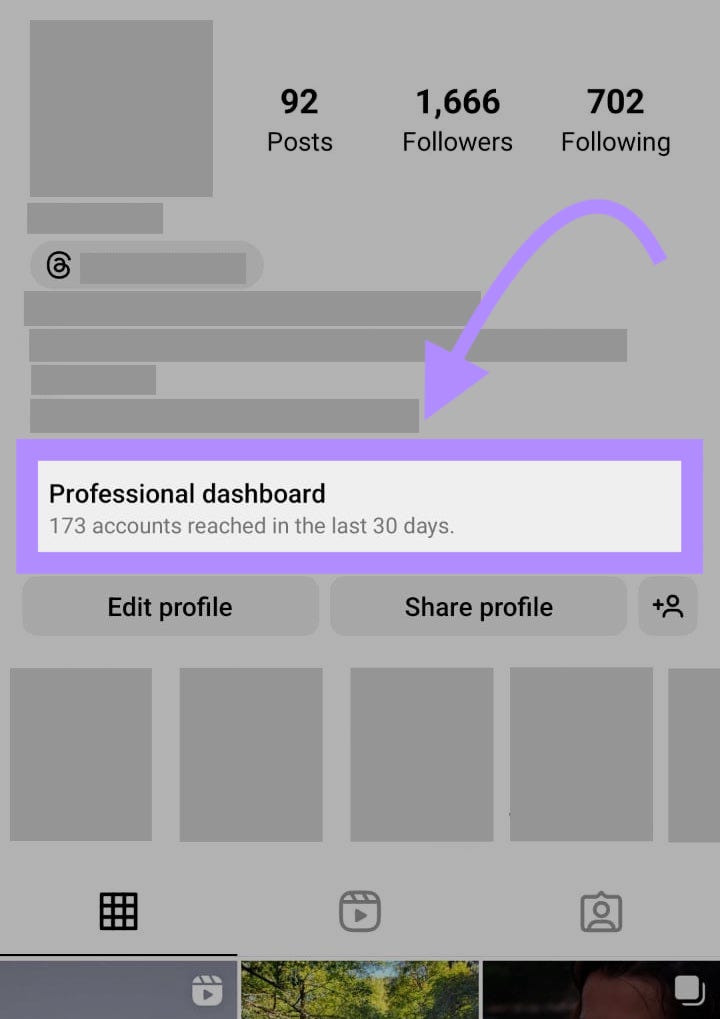 “Professional dashboard” highlighted under Instagram bio