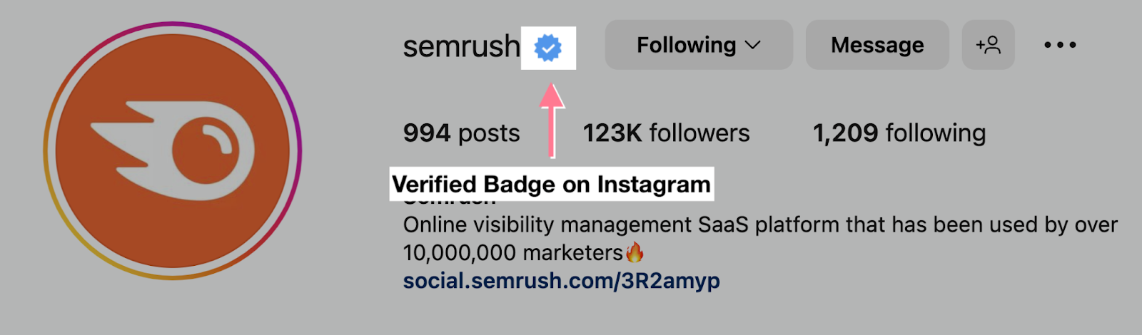 Semrush verified badge on instagram