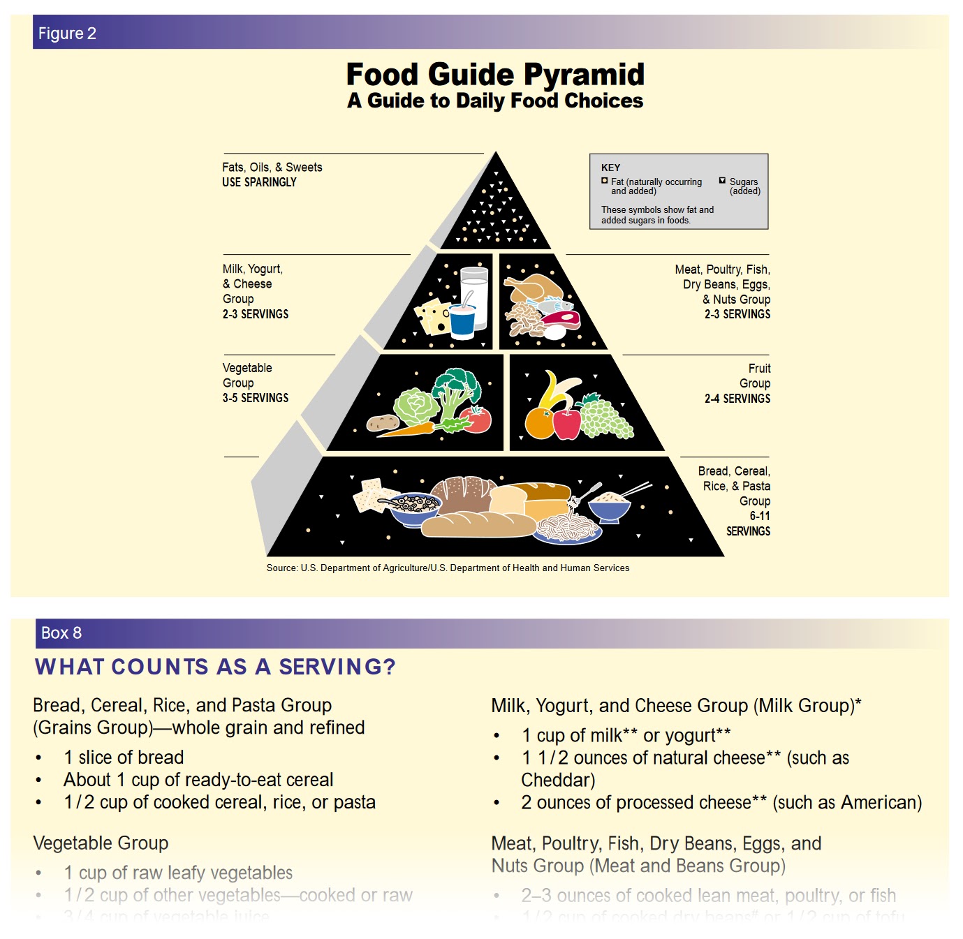U.S. Department of Agriculture’s food pyramid