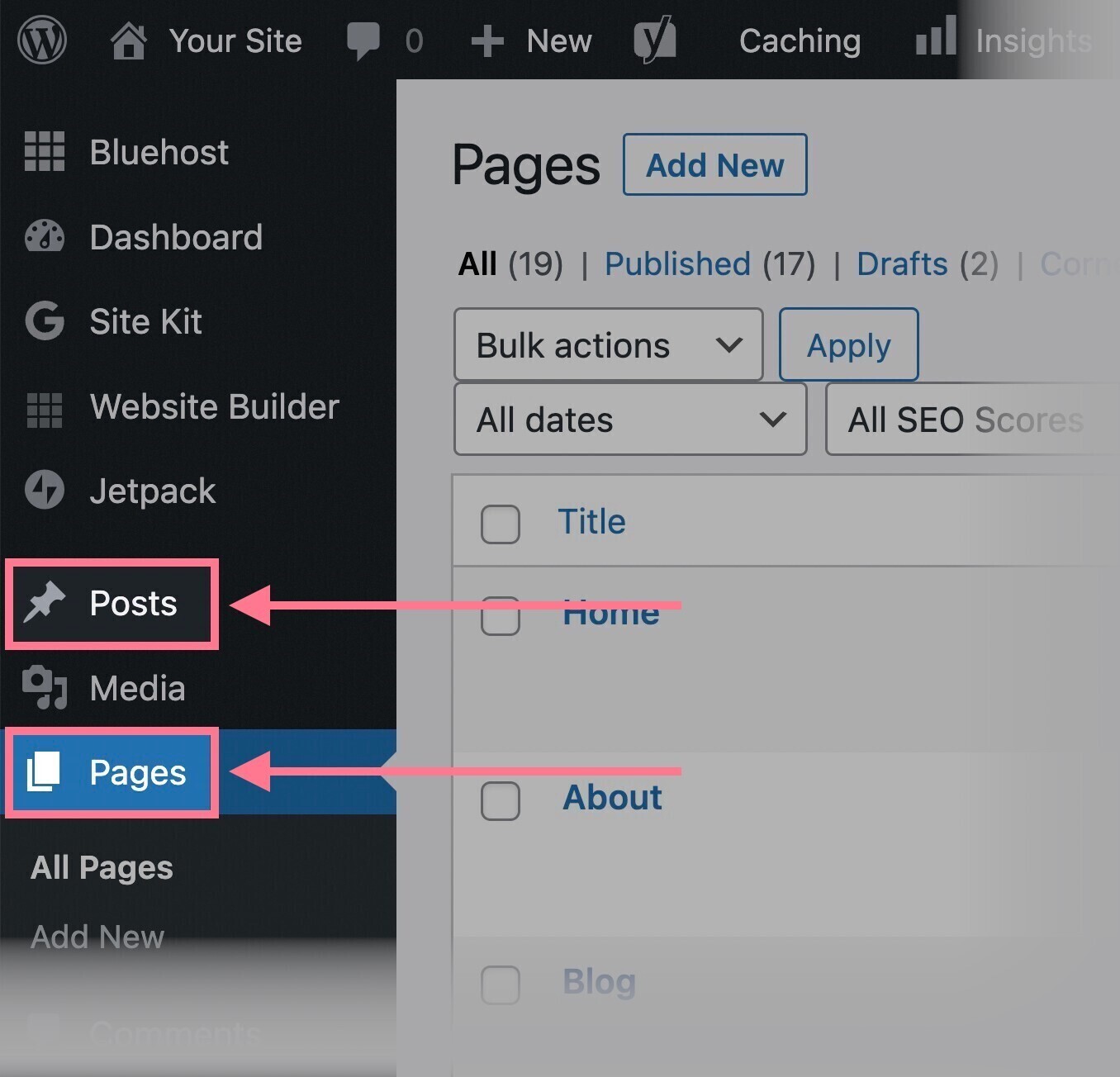 Wordpress pages vs posts