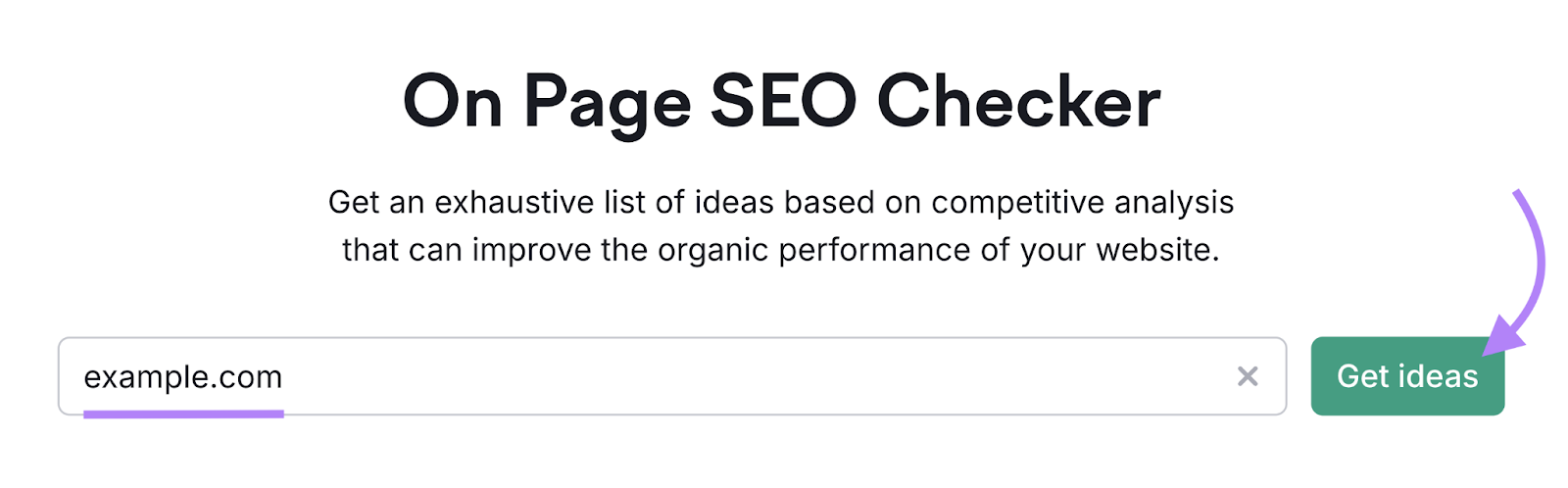 domain is entered into the on page seo checker tool