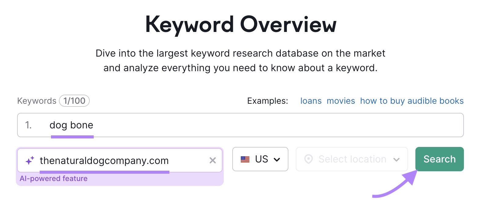 Keyword Overview tool start with "dog bone" entered as the term, "thenaturaldogcompany.com" as the domain, and "Search" clicked