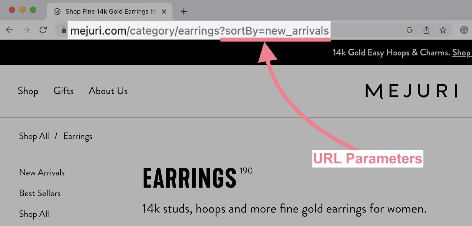 URL parameter example