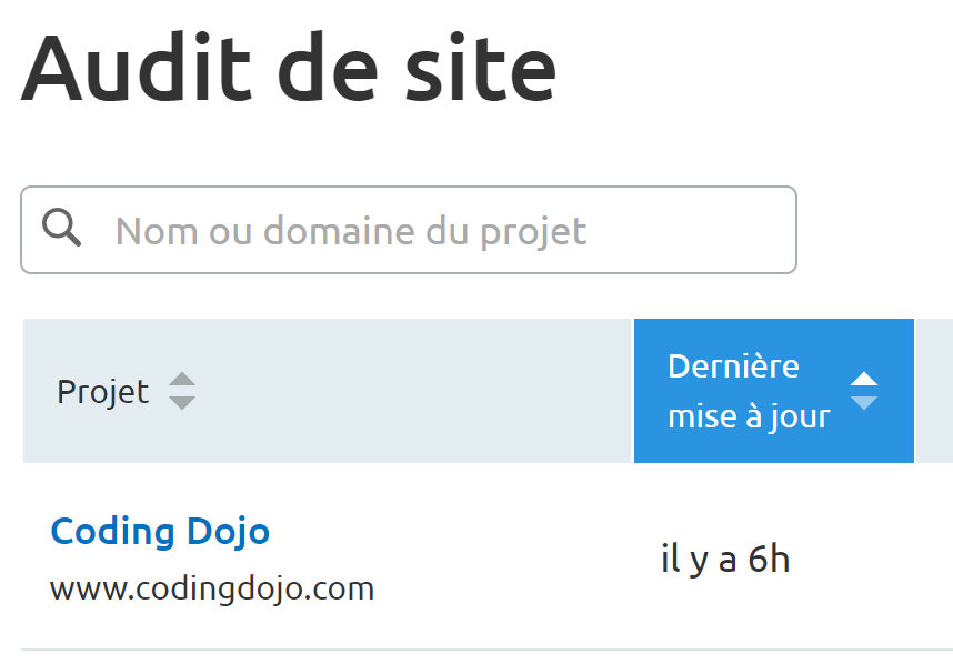 Audit de site, Projet