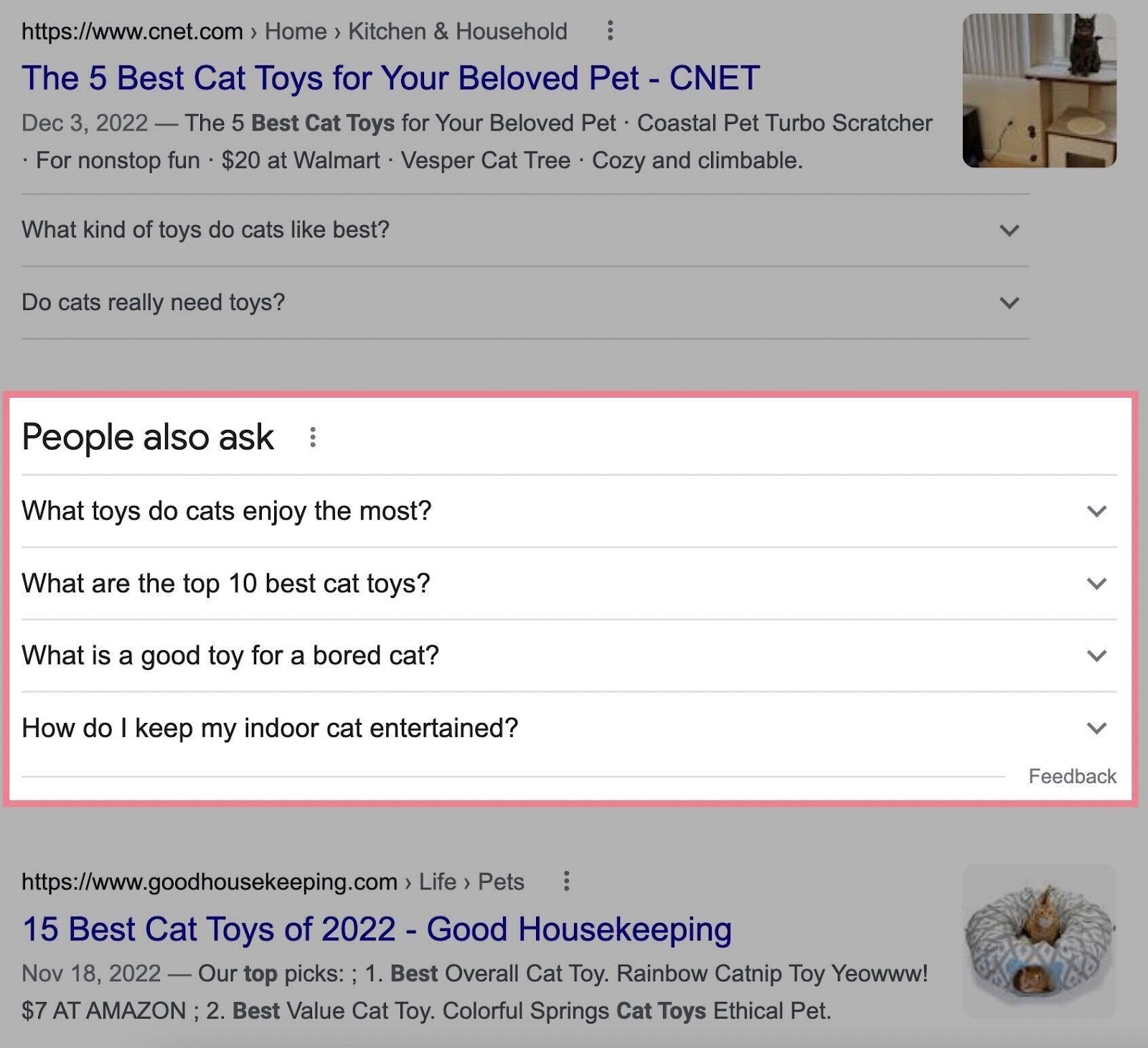 people also ask section on serp