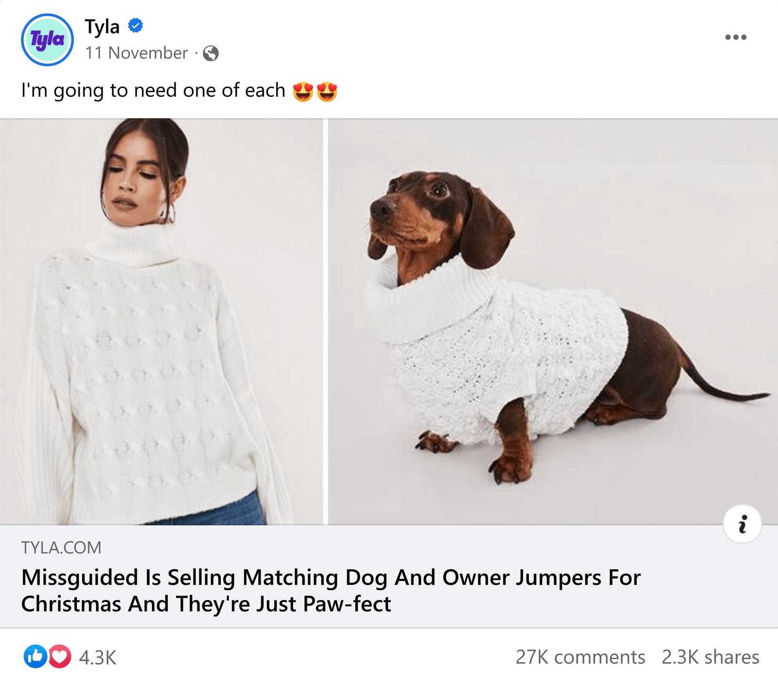 an article about Missguided selling marching dog and owner jumpers for Christmas posted by "Tyla"