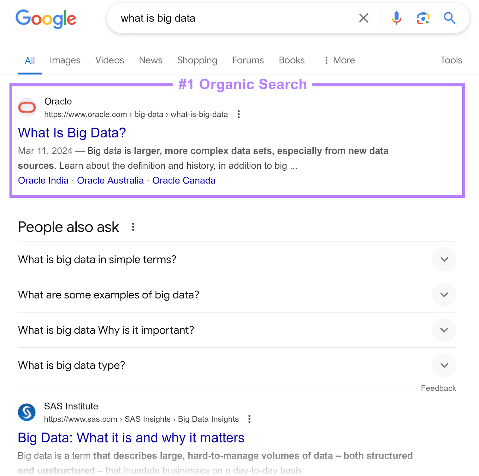 Google SERP for "what is large  data", showing the archetypal  result, labeled "#1 Organic Search," from Oracle's website